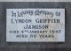 Lyndon Griffith Jamison (1881-1852) Headstone